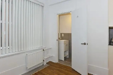 renovated one bedroom, College and Spadina - ID 1858 Image# 1