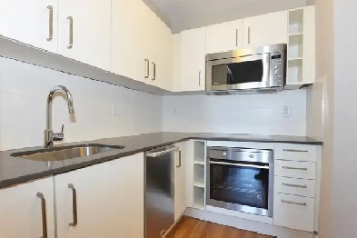 renovated one bedroom, Dundas and Parliament - ID 2773 Image# 1