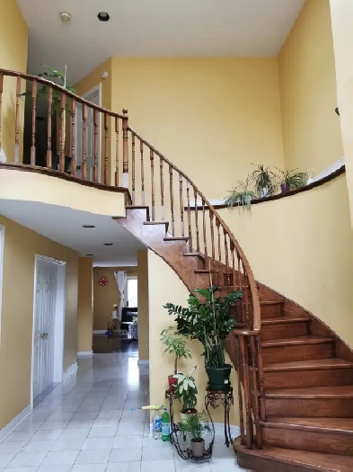 LOCATION: Yonge and Finch! Nice room for Rent!! Image# 1