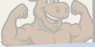 BigMoose Transport and logistics Image# 1