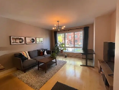 4 1/2 lumineux dans Hochelaga - 1710 $ Image# 1