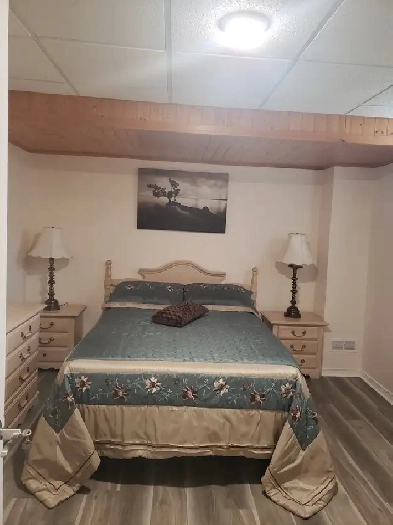 ALL INCLUSIVE BASEMENT APARTMENT WITH PRIVATE BEDROOM. Image# 1