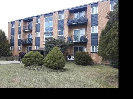 ALL INCLUSIVE - Large & Bright 2 Bedroom - Recently Renovated Image# 4