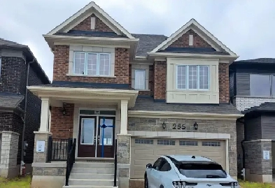 4 bedroom plus den, Big New House Image# 1