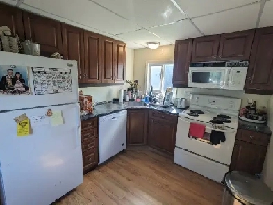 Fresh Reno Inside - Private Home w yard backing on to Forest Image# 1