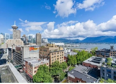 Wonderful Furnished Apartment in A Fantastic Location Image# 5