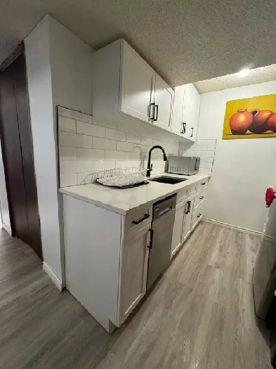 Basement Suite for Rent Image# 1