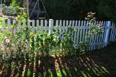 Newly Renovated, Military-Friendly 3 Bed room House for Rent Image# 1