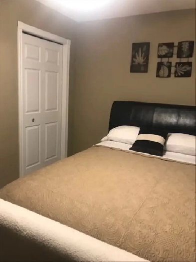 Bachelor(ette) For Young Professional or University Student Image# 2