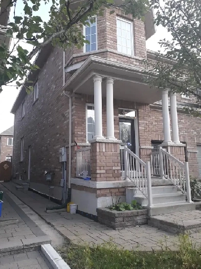 Basment with separate entrance for rent Image# 1