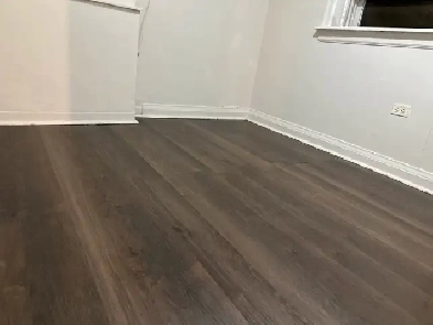 One Bedroom Apartment in South Etobicoke Image# 1