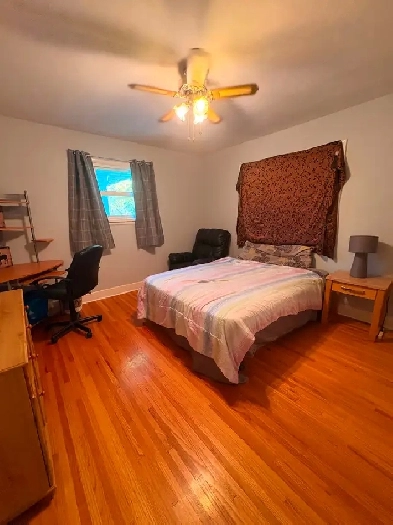 1 bedroom in shared home with 2 roommates -$1,010 inc utilities Image# 1