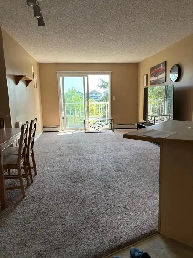 Lake View Condo 2br/2baths S Edmonton Ellerslie all included Image# 1