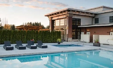 2 Bed, 2 Bath Condo for rent Image# 5