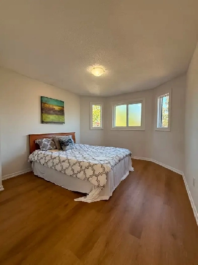 6 private bedrooms on 2nd FL & basement  Square One Mississauga Image# 1