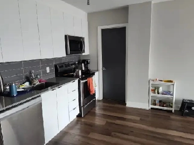 female student Apartment (lease take over) Image# 3