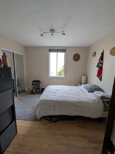 Style condo 41/2 a Rosemont face au parc Beaubien Image# 1