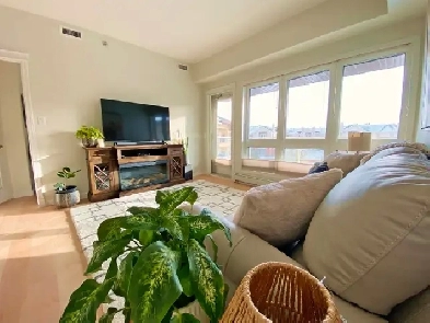 luxury furnished 2 bedroom UG parking and central air Image# 1