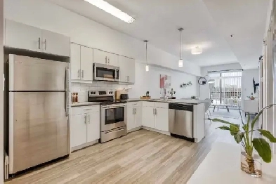 House for rent Image# 1