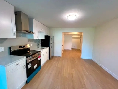 Brand New Garden Level Suite 2 bed/1 bath - Near Coquitlam Cent Image# 7