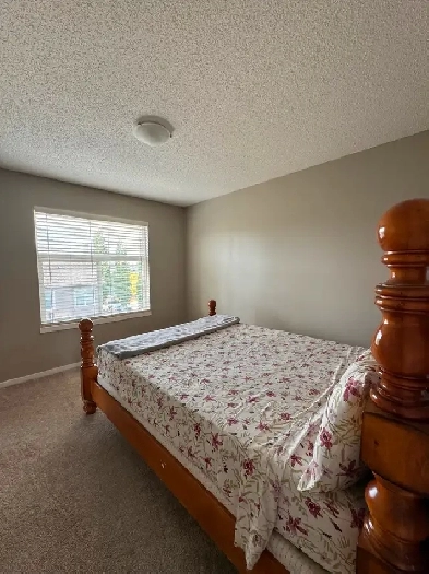 Room for Rent in Chaparral Area Image# 1