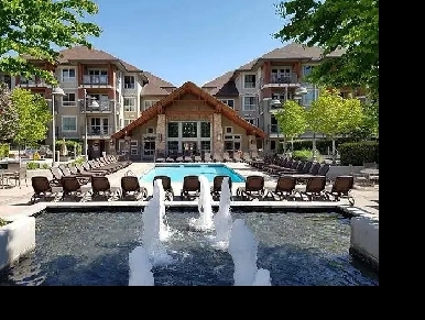 Waterscapes Beautiful & Spacious 1 Bedroom   Den Apartment Image# 1