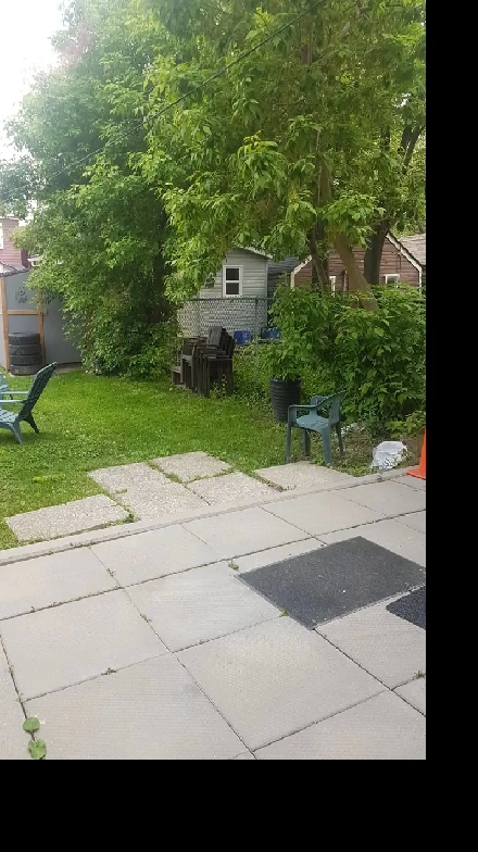 1-bedroom Main Floor apartment Dupont & Christie - $2,100 Image# 1