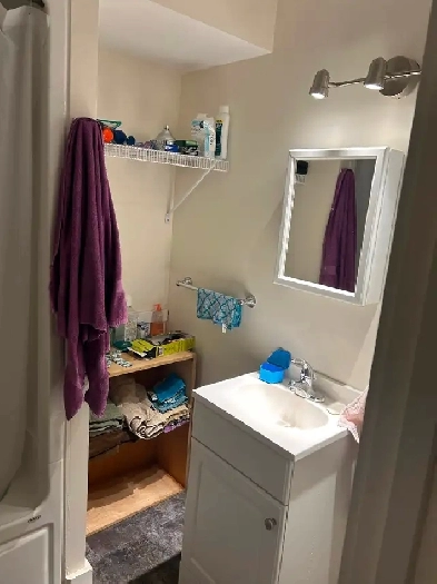 1 bedroom apartment Image# 1