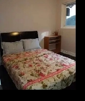 130sqft Quiet Room on 1st Floor, Near Scarborough Town Center Image# 1