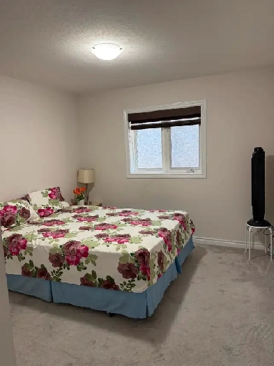 Very decent clean and quite room available for girl in brampton Image# 1