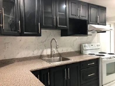 Bright & Spacious Basement for Rent in Pickering Image# 1