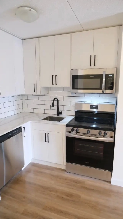 1-Bedroom Apartment Suite for Rent Available December 1st Image# 1