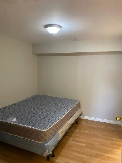 1 Studio basement apartment available Image# 1