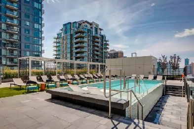 1 Bed 1 Bath - Luxury Apartment Image# 1