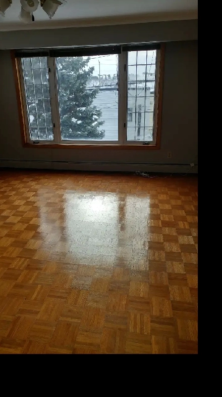 Apartment for RENT Image# 11