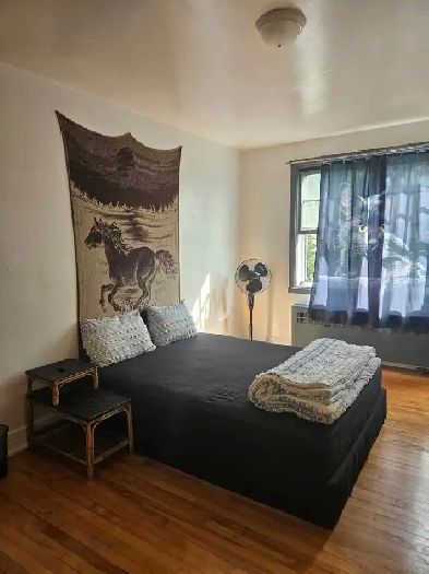 Very Large Room for Rent (Available now or November 1st) Image# 1