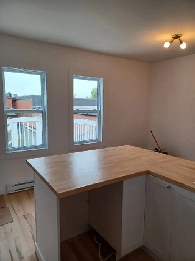 A louer Grand 3 1/2 entièrement rénové a Lemoyne (Quadruplex) Image# 1