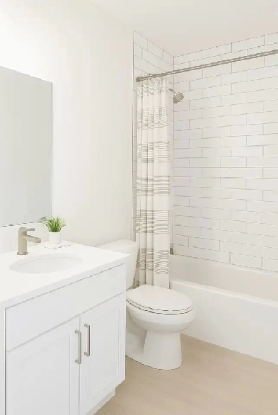 2 Bedroom 1 bath Apartment - Newly renovated! Image# 1