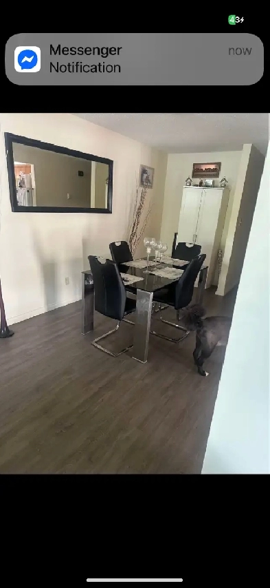 Room for rent north side (close to NAIT) Image# 1