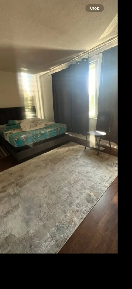 Large room near Sheraton Col. for rent now or 15 oct Image# 1