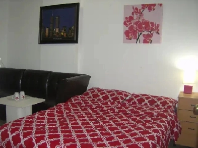 PRIVATE   apartment - studio.  montreal Image# 1