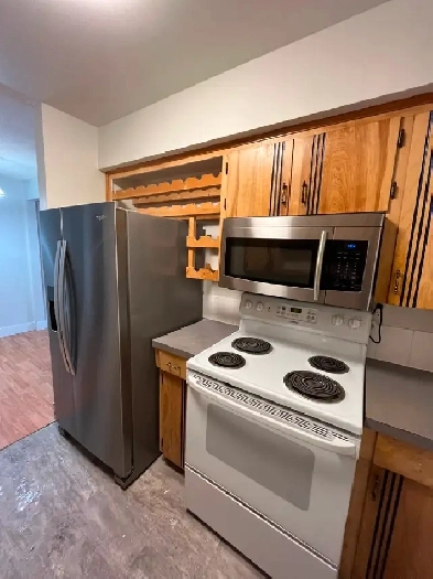 2-4 bedroom rental properties in Kamloops Image# 1