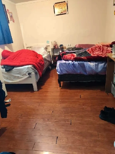 Available from November 2025 Image# 1