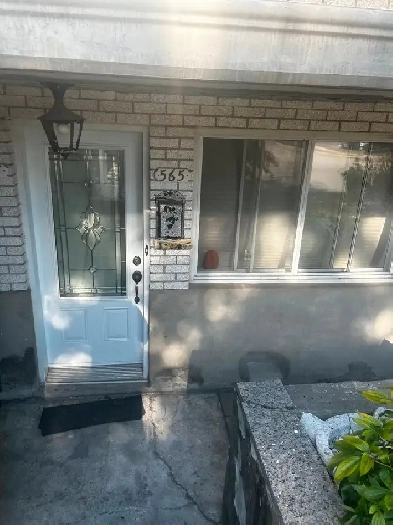 Room to rent 3 1/2 for november 800$ peut être negocier. Image# 1