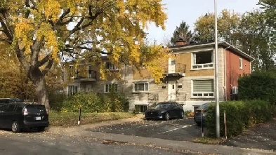 Grand 5 1/2 Saint-Lambert. Rive sud Image# 1