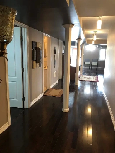 WalkoutFURNISHED lakefront apt1300sf1BR Den with BED Bovaird/410 Image# 4