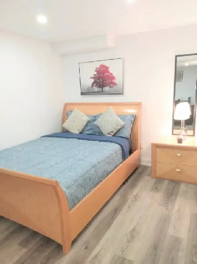 Fully Furnished 2BR Basement – Mavis & Steeles Image# 1