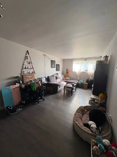 Appartement 5 1/2 Image# 13