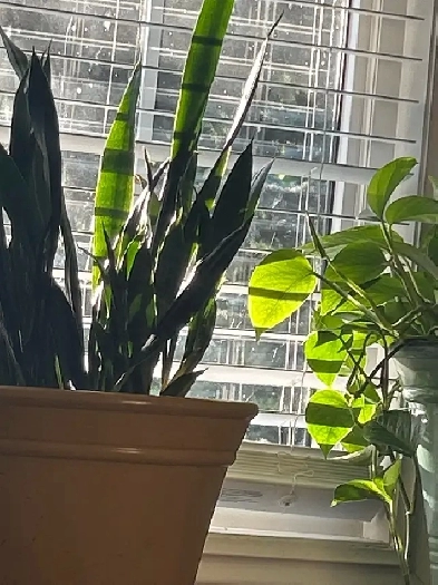 Florida Getaway Vacation  Condo Rental Image# 1