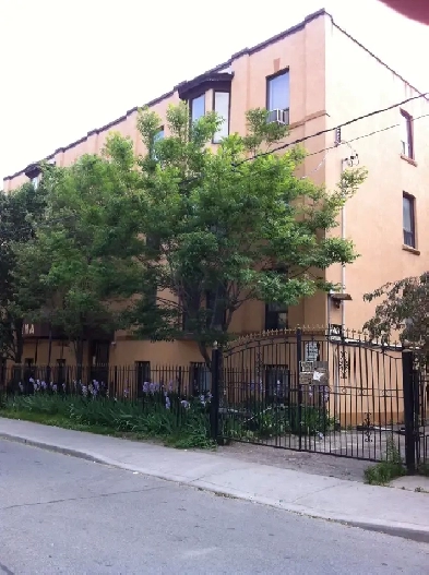 One bedroom apartment Jarvis and Gerrard Image# 1